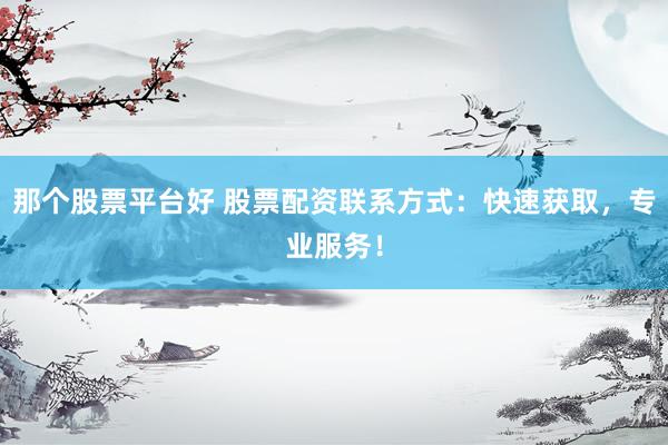 那个股票平台好 股票配资联系方式：快速获取，专业服务！