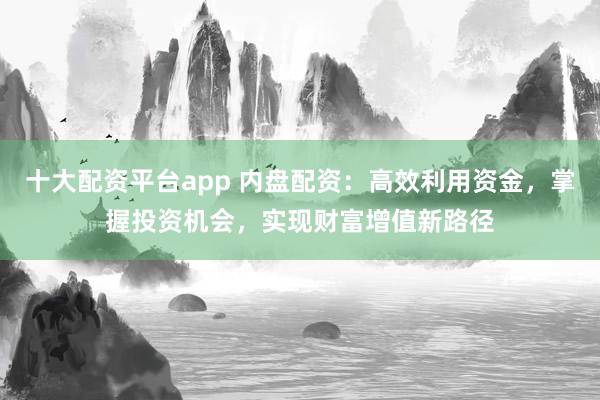 十大配资平台app 内盘配资：高效利用资金，掌握投资机会，实现财富增值新路径