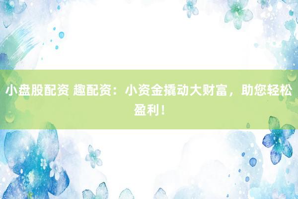 小盘股配资 趣配资：小资金撬动大财富，助您轻松盈利！