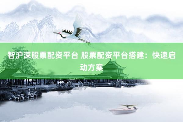 智沪深股票配资平台 股票配资平台搭建：快速启动方案