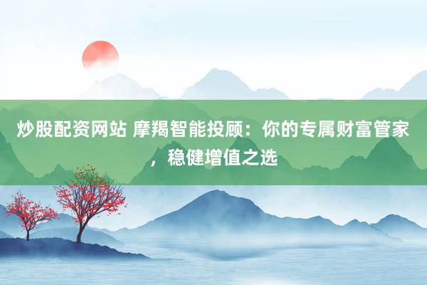 炒股配资网站 摩羯智能投顾：你的专属财富管家，稳健增值之选