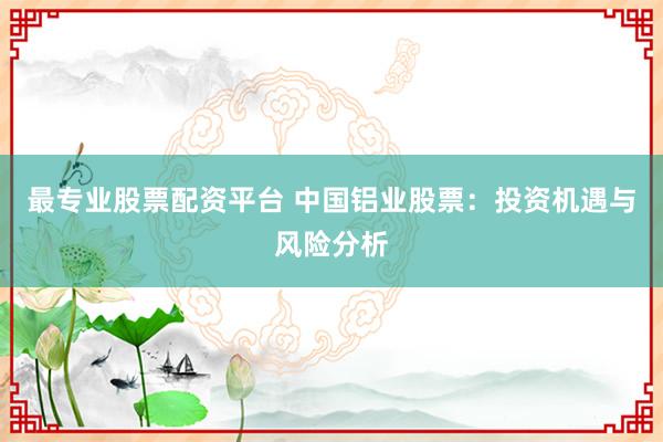 最专业股票配资平台 中国铝业股票:投资机遇与风险分析