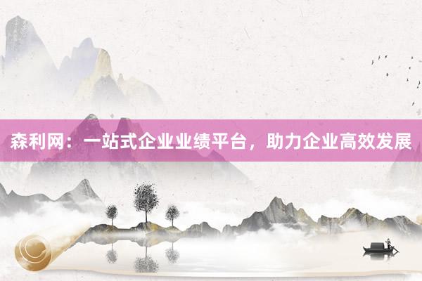 森利网：一站式企业业绩平台，助力企业高效发展