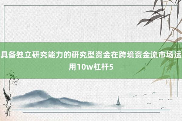 具备独立研究能力的研究型资金在跨境资金流市场运用10w杠杆5