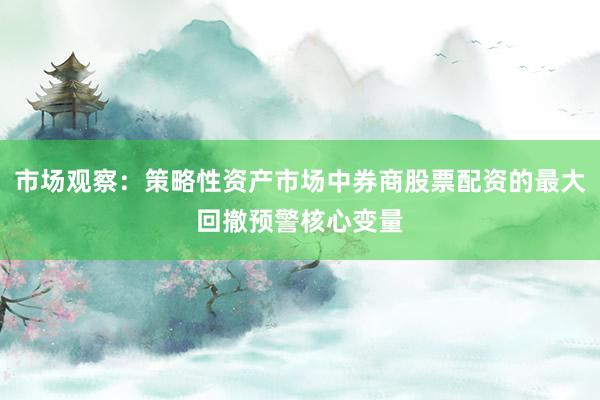 市场观察：策略性资产市场中券商股票配资的最大回撤预警核心变量