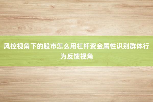 风控视角下的股市怎么用杠杆资金属性识别群体行为反馈视角