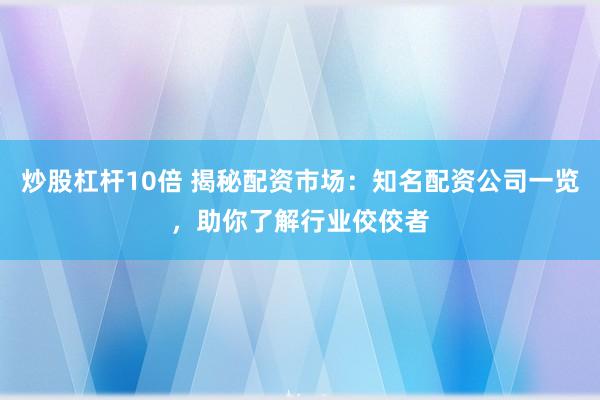 炒股杠杆10倍 揭秘配资市场：知名配资公司一览，助你了解行业佼佼者